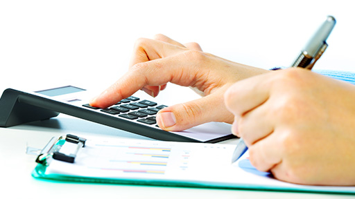 The Global Calculator